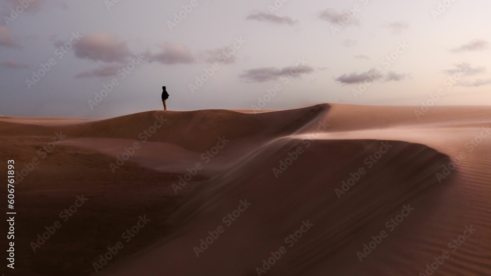 Beautiful scene of a person on Rabjerg Mile sand dunes on the horizon in Skagen, Denmark