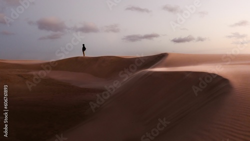 Beautiful scene of a person on Rabjerg Mile sand dunes on the horizon in Skagen  Denmark