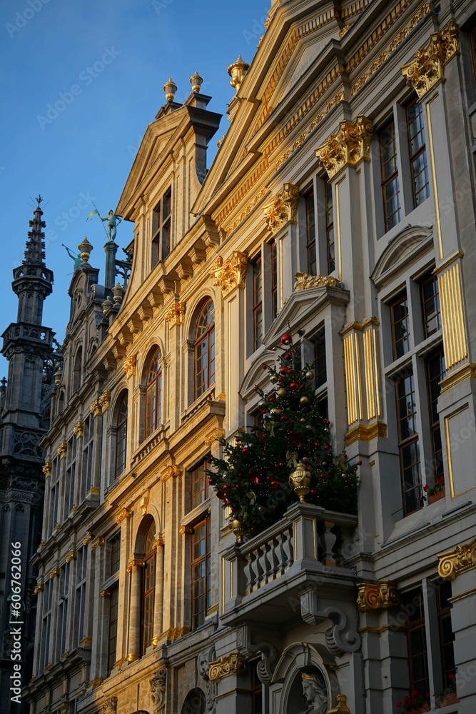 Old building with a Christmas tree in the City of Brussels