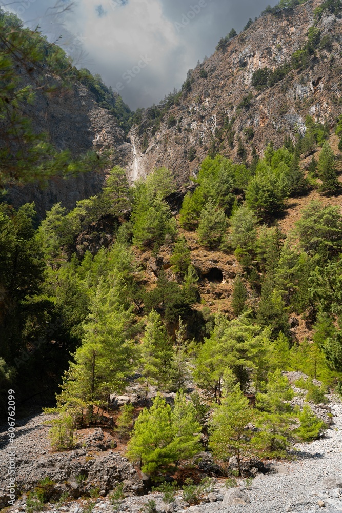Vertical shot of the mountains and small green trees on the rocky, gray ground in a park in Greece
