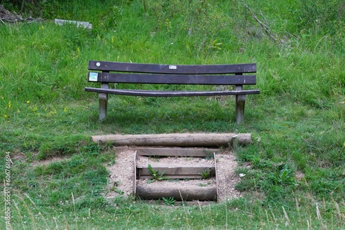 Old wooden bench on a grassy green clearing in a park