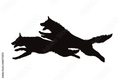 Vector silhouette of dogs running on white background. © majivecka