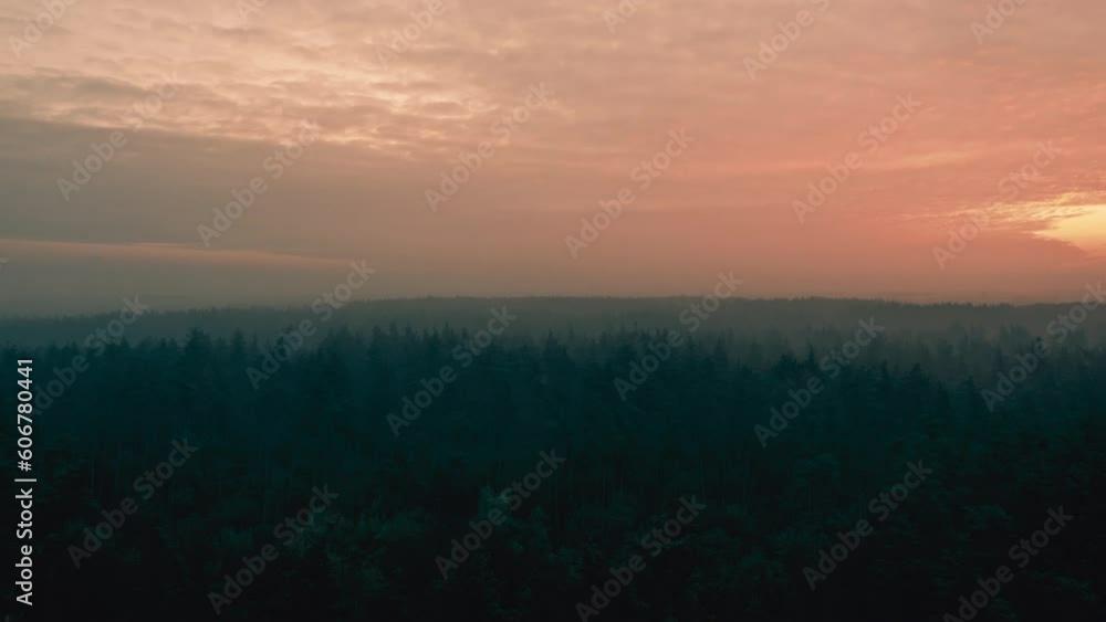 Beautiful sunrise over dark forest, clouds drifting in orange sky, foggy morning. Mysterious forest at sunrise Beautiful sunrise over dark forest, clouds drifting in orange sky, foggy morning. Mysterious forest at sunrise