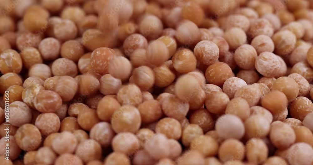 pour dry yellow peas scattered before cooking, Dry hard yellow peas for cooking porridge pour dry yellow peas scattered before cooking, Dry hard yellow peas for cooking porridge
