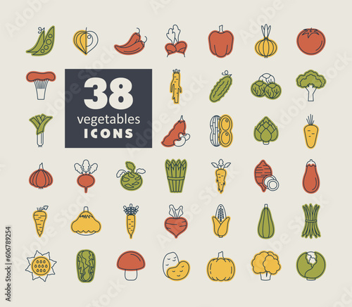 Vegetables outline isolated vector icons set