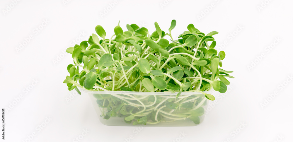 Fresh green young sunflower sprouts on white background, sunflower sprouts for healthy vegan food, Healthy food, Diet food Fresh green young sunflower sprouts on white background, sunflower sprouts for healthy vegan food, Healthy food, Diet food