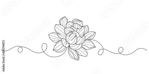 Hand drawn line art vector illustration of a flower