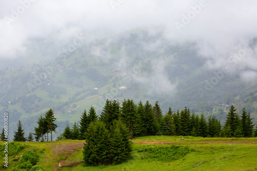 Giresun Province, Kulakkaya highland lush nature and houses and animals in the highland photo