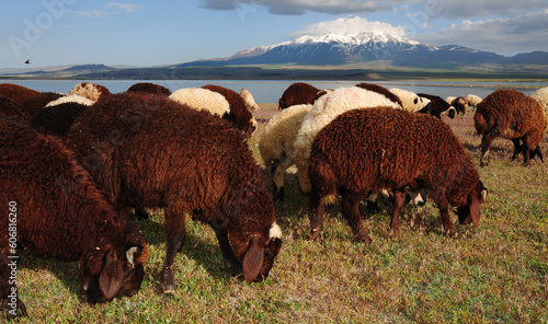 Suphan Mountain and Sodali Lake in Adilcevaz, Turkey. photo