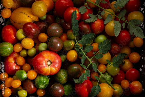 Organic heirloom tomatoes from above