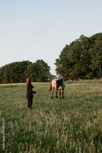 girl with a horse is standing in the field