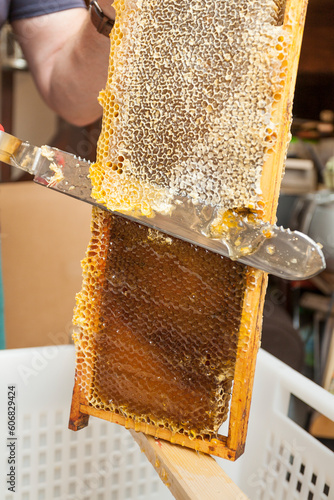 Beekeeper collects the honey. The beekeeper separates the wax from the honeycomb frame. Close-up Beekeeper uncapping honeycomb. Beekeeper concept. photo