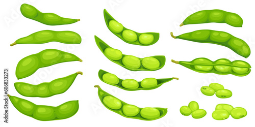 edamame beans isolated on white background. Vector eps 10. perfect for wallpaper or design elements