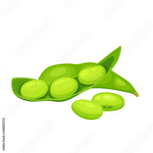 edamame beans isolated on white background. Vector eps 10. perfect for wallpaper or design elements