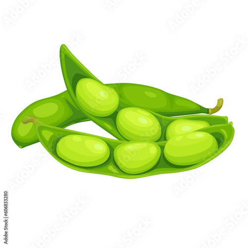 edamame beans isolated on white background. Vector eps 10. perfect for wallpaper or design elements