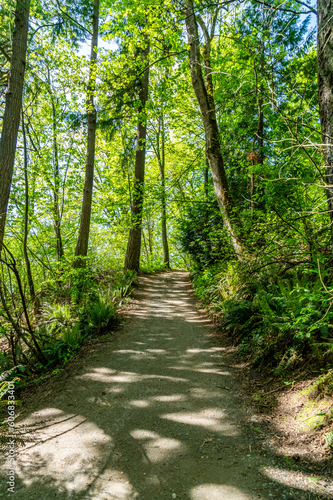 St. Edward State Park Trail 8