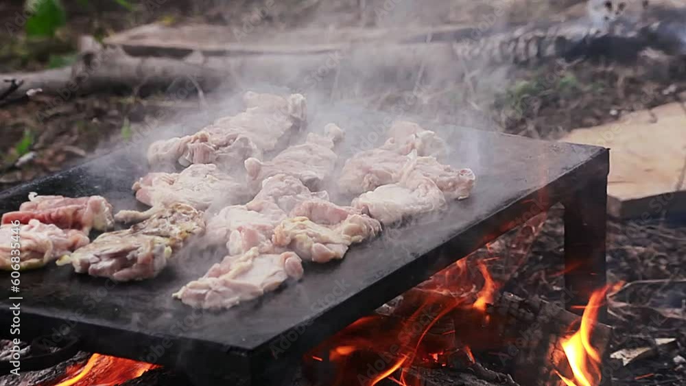 Roasting Chicken Pieces on Grill in Countryside Roasting Chicken Pieces on Grill in Countryside