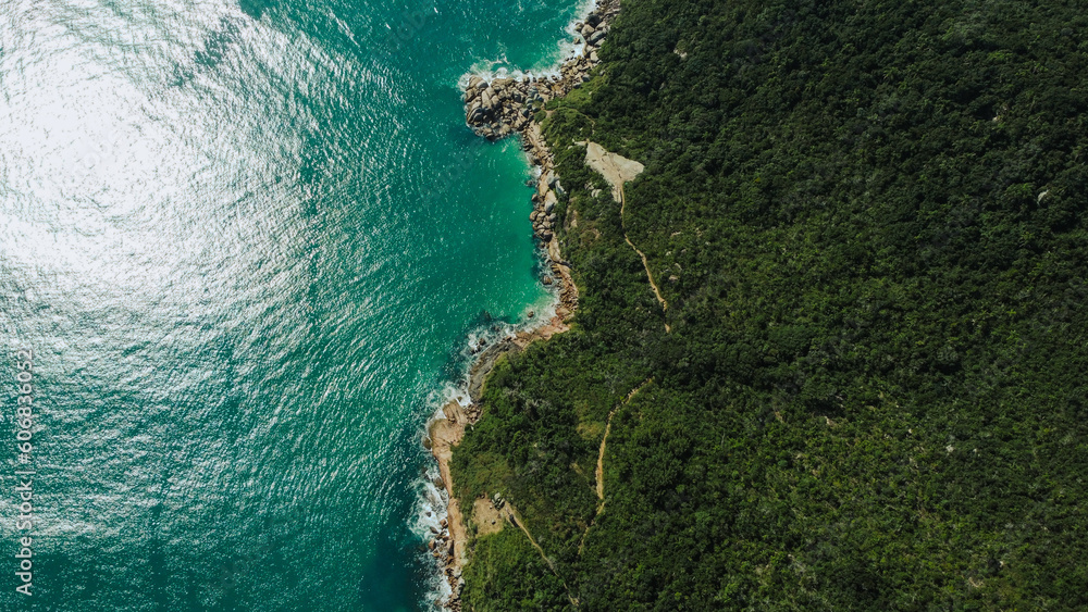 Deslumbrante beleza de Florianópolis, Santa Catarina, capturada pela lente de Felipe Nogs. A natureza exuberante e as águas cristalinas fazem dessa praia um verdadeiro refúgio.