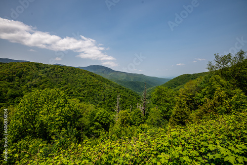 Along the Blue Ridge Parkway near Little Switzerland, in Western North Carolina