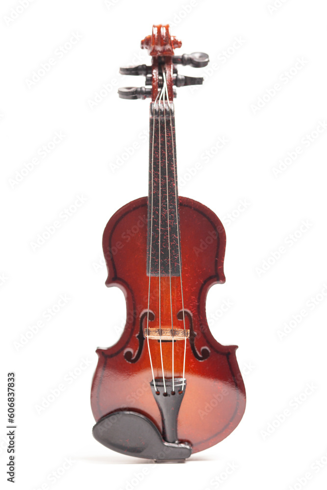 Violin isolate on white background