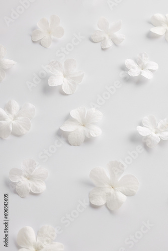 white flowers on a white pattern background  design for greeting card