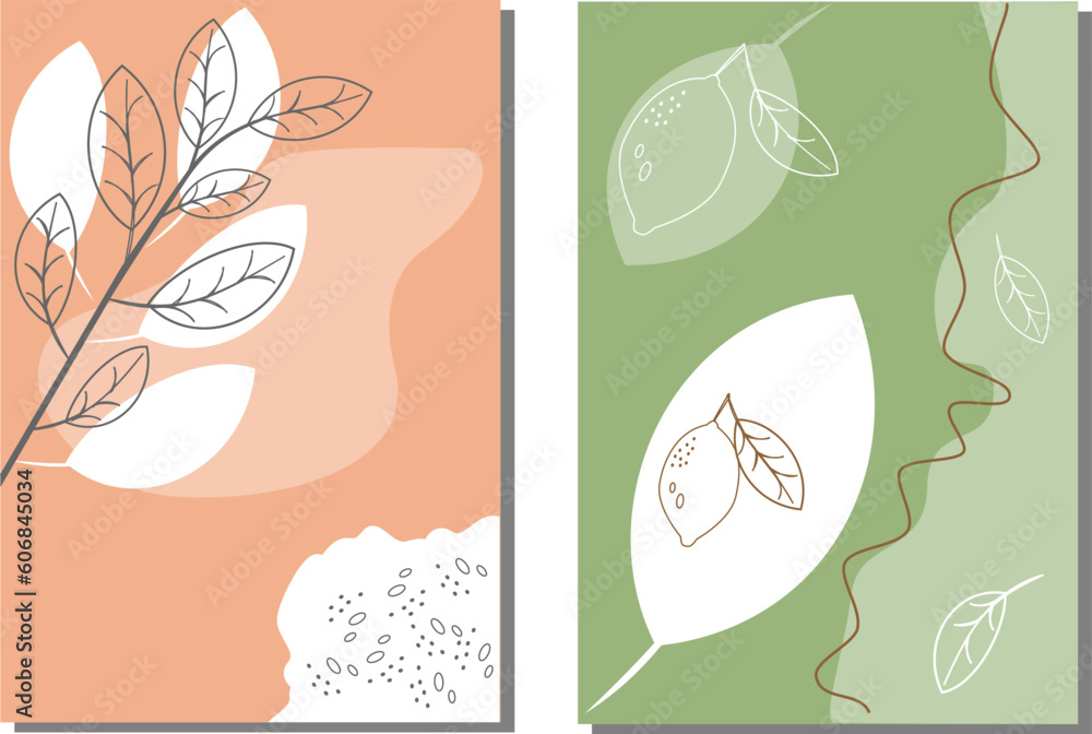 Set of flowers, foliage, plants, abstraction, lines, contours. Trendy concept for logo, postcard, banner, poster, vector.