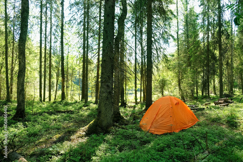 tourist tent in green forest, natural abstract background. active holidays. freedom adventure, privacy, unity with wild nature, tourism, travel concept. landscape with Camping place. forest scenery 