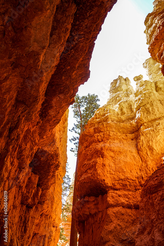Hiking the trail inside Bryce Canyon National Park in Bryce Canyon City, Utah
