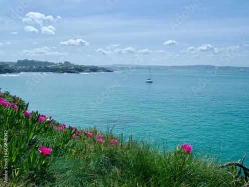 landscape with flowers overlooking the ocean