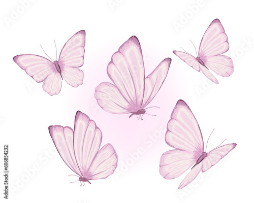 butterflies and fpink watercolor