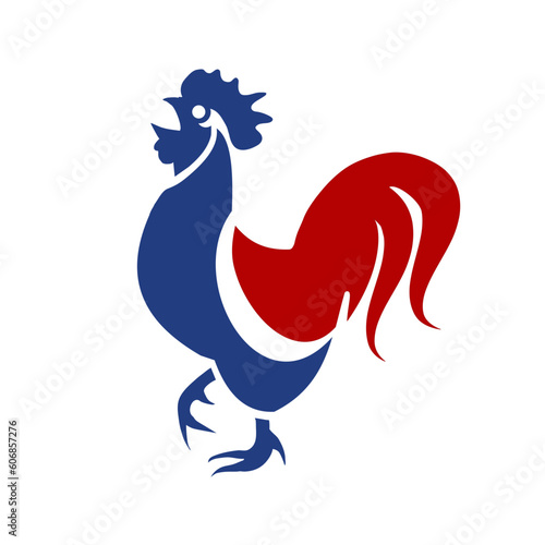 French rooster. Isolated rooster on white background
