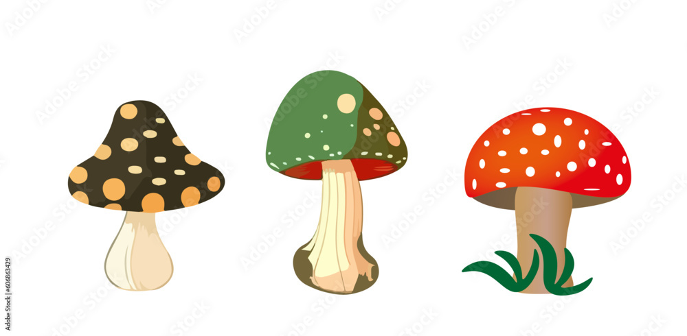 Set of fabulous mushrooms of different types. Vector illustration, print for background, print on fabric, paper, wallpaper, packaging.