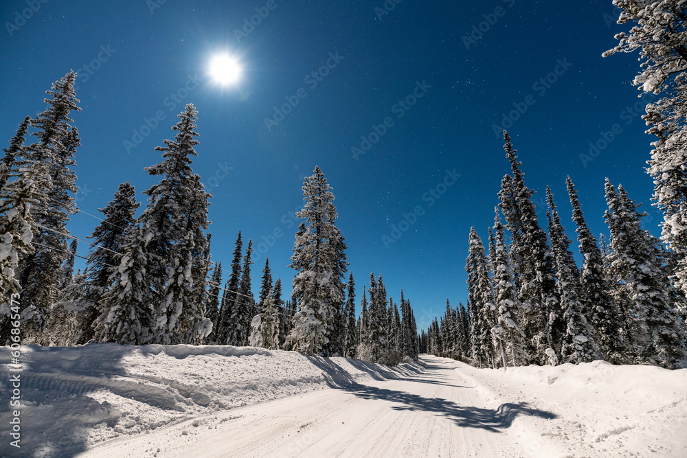 Φωτογραφία Night time landscape view along a wilderness road in northern Canada near Alaska with deep, dark blue sky, boreal forest & snow covered road