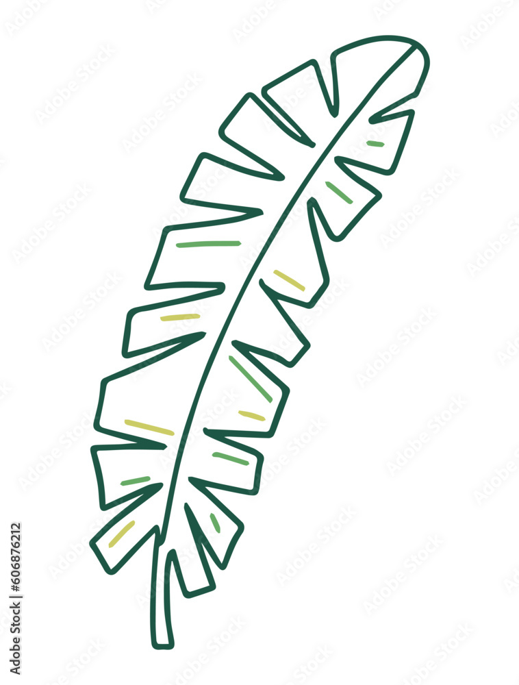Tropical Leaves in doodle style. Vector hand drawn black line design element. Tropical Leaves in doodle style. Vector hand drawn black line design element.