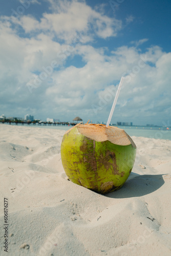 Coconut on the beach on a sunny day