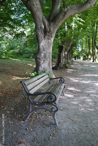 Wanderweg mit Bank im Sommer