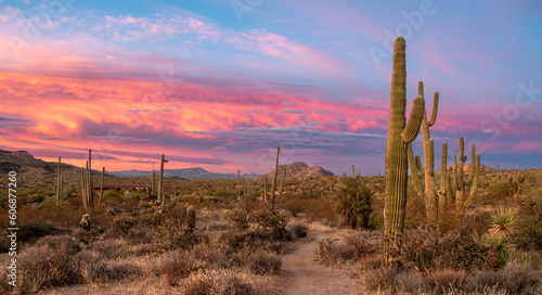 Sunset Skies In A Sonoran Desert Preserve Phoenix Area
