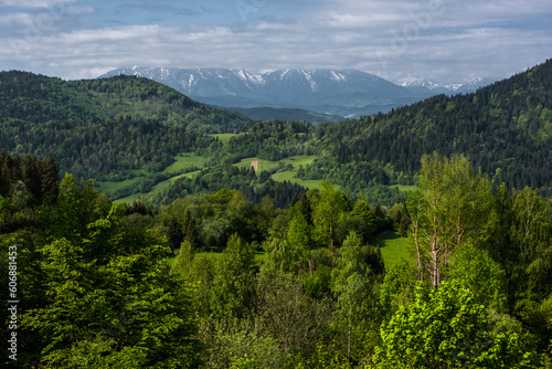 Pieniny National Park in Carpathian Mountains in Poland at summer day