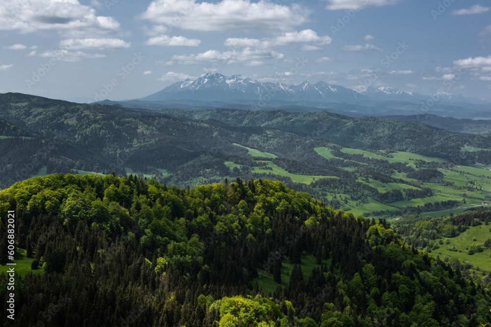 Pieniny National Park in Carpathian Mountains in Poland at summer day