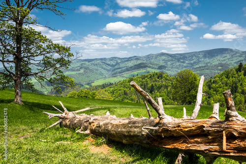 Pieniny National Park in Carpathian Mountains in Poland at summer day