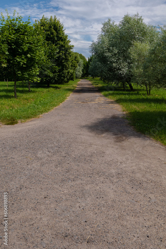 Beautiful rural road in the countryside, day landscape