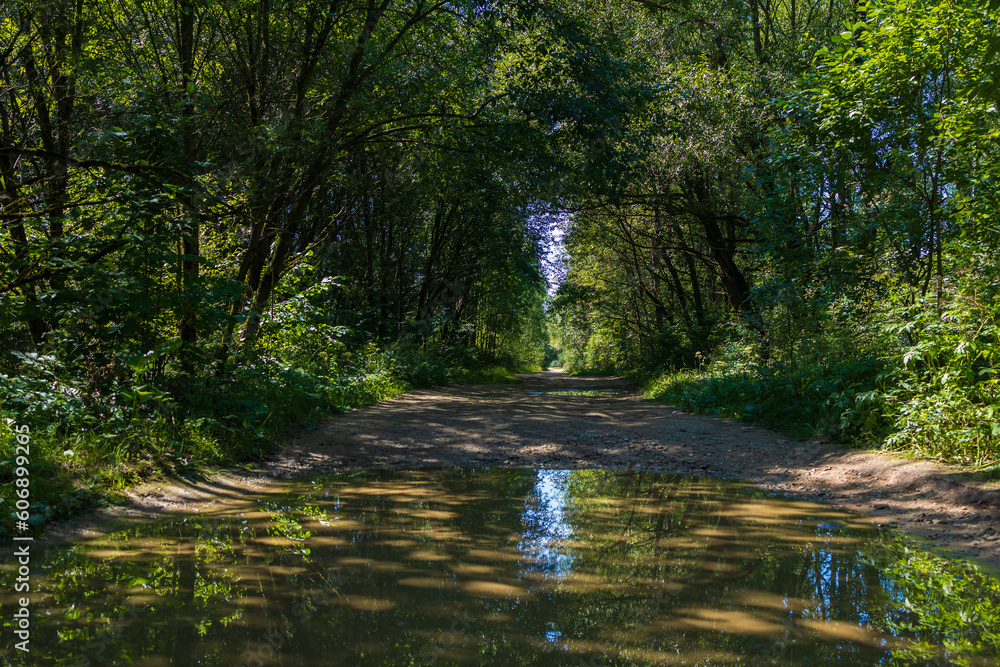 Beautiful rural road in the countryside, day landscape Beautiful rural road in the countryside, day landscape