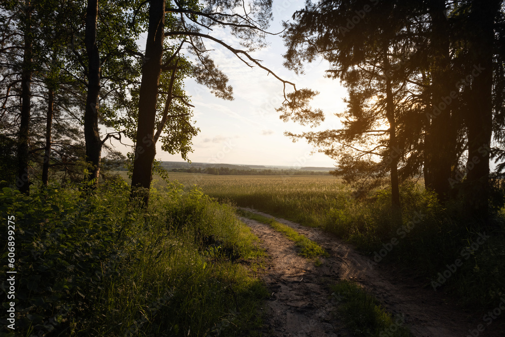 Beautiful rural road in the countryside, day landscape Beautiful rural road in the countryside, day landscape