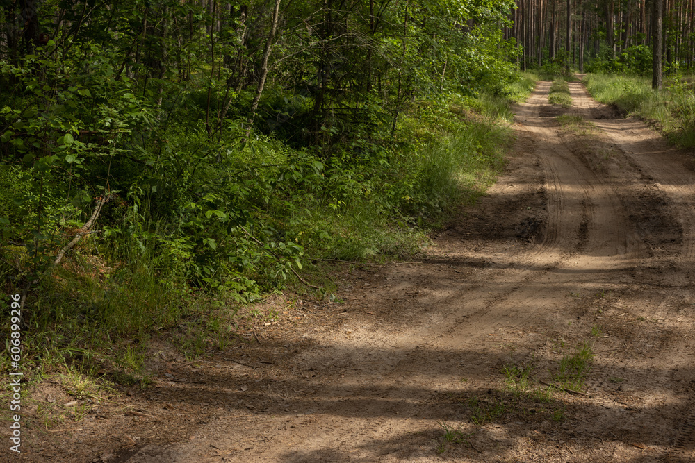 Beautiful rural road in the countryside, day landscape Beautiful rural road in the countryside, day landscape