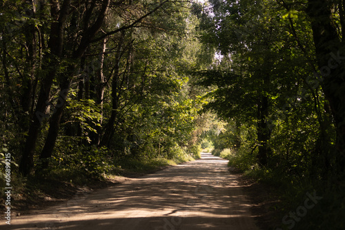 Fototapeta Naklejka Na Ścianę i Meble -  Beautiful rural road in the countryside, day landscape