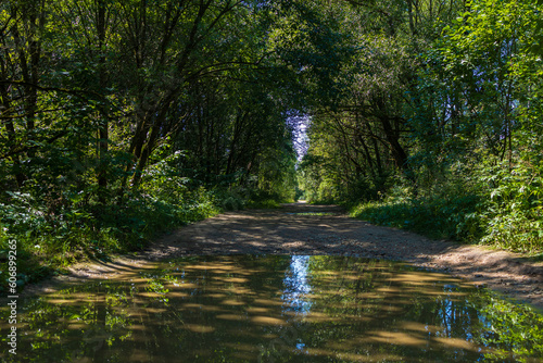 Beautiful rural road in the countryside, day landscape