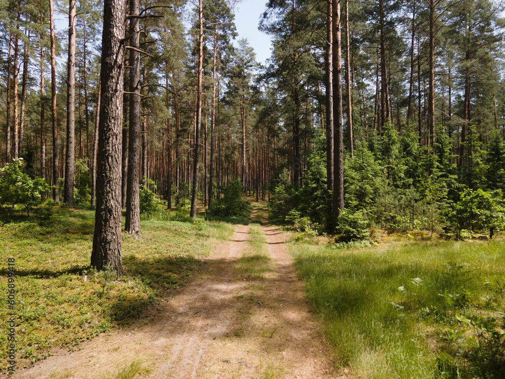 Beautiful rural road in the countryside, day landscape Beautiful rural road in the countryside, day landscape