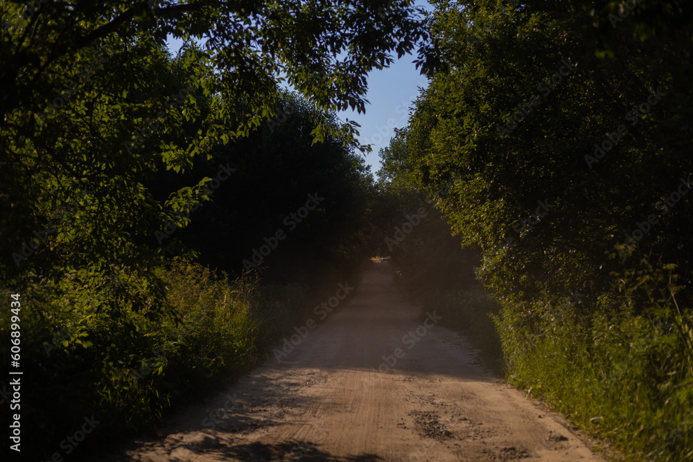 Obraz premium Beautiful rural road in the countryside, day landscape