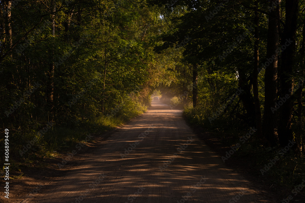 Fototapeta premium Beautiful rural road in the countryside, day landscape