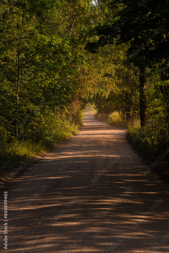 Beautiful rural road in the countryside, day landscape Beautiful rural road in the countryside, day landscape